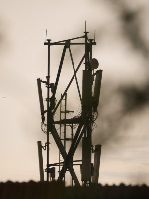 Image: Kishore Newton - stock.adobe.com