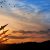 The missiles are aimed at the sky at sunset. Nuclear bomb, chemical weapons, missile defense, a system of salvo fire.